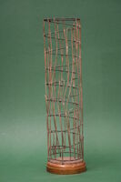 Modello di cordoni fibro vascolari (famiglia Pinaceae)