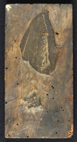 Museo dei metalli - Sal fossilis ruber / Sal omphacites