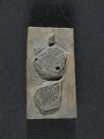 Museo dei metalli - Spodiu[m] Pharmocopolarum Cyprium