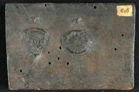 Museo dei metalli - 1 Ombrijs cognatus lapis. 2 Odontites lapis