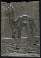 Mostri (paralipomeni) - Cameli alia differentia picta à Cornelio ludaeo in Tabula Africae