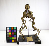 Collezione di Anatomia Patologica e Teratologia Veterinaria