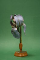 Modello di fiore (famiglia Iridaceae)