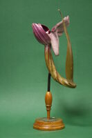 Modello di fiore (famiglia Orchidaceae)