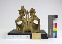 Collezione di Anatomia Patologica e Teratologia Veterinaria